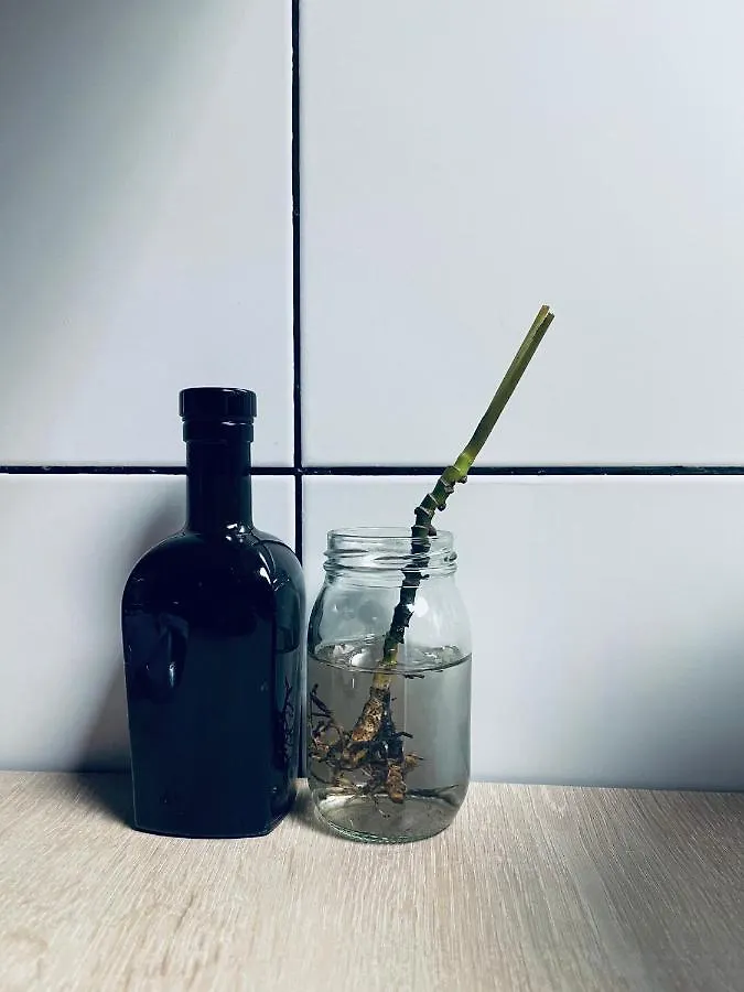 Casa de Campo - Hotel bonito en Santa Elena Medellín Bed and breakfast