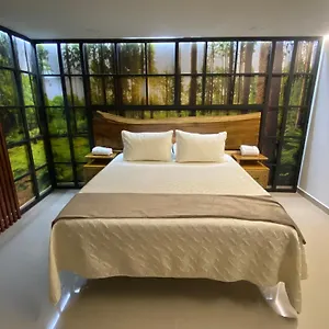 Maidy Luxury Medellín